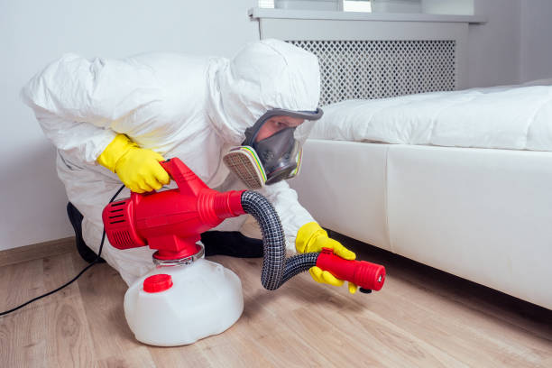 Best Residential Pest Control  in East Liverpool, OH