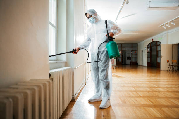 Best Flea Control Services  in East Liverpool, OH