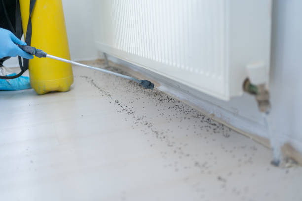 Best Insect Control  in East Liverpool, OH
