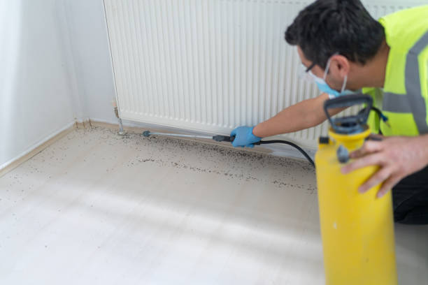 Best Pest Removal Services  in East Liverpool, OH