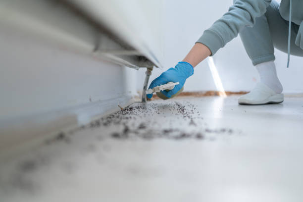 Pest Control for Restaurants in East Liverpool, OH