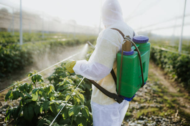 Best Pest Control for Businesses  in East Liverpool, OH